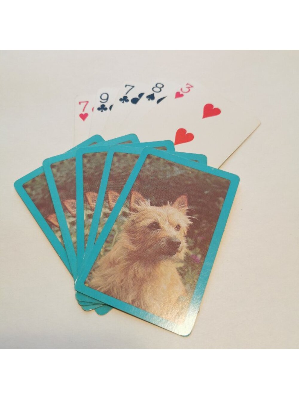 2/$10 Vintage Norwich Terrier Dog Playing Cards Set of 10 Cute Puppy Blue Border